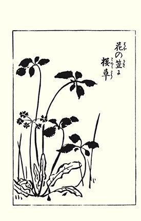 photo56.jpg