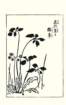 photo56_small.jpg