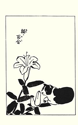 photo61.jpg