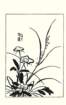 photo69_small.jpg
