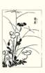 photo71_small.jpg