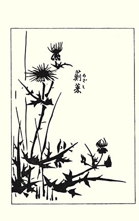 photo72.jpg