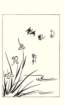 photo77_small.jpg