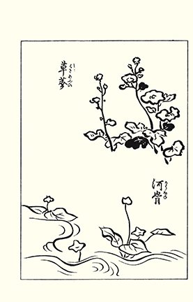 photo80.jpg