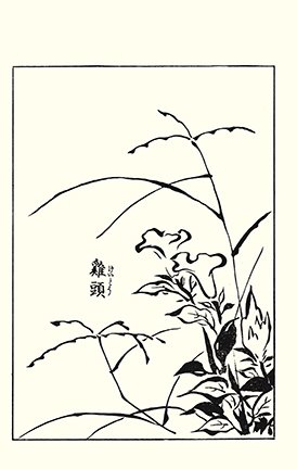 photo83.jpg