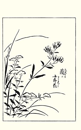 photo87.jpg