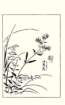 photo87_small.jpg