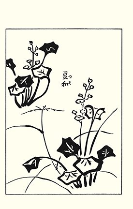 photo91.jpg