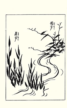 photo94.jpg