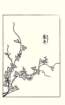photo95_small.jpg