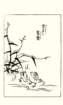 photo96_small.jpg