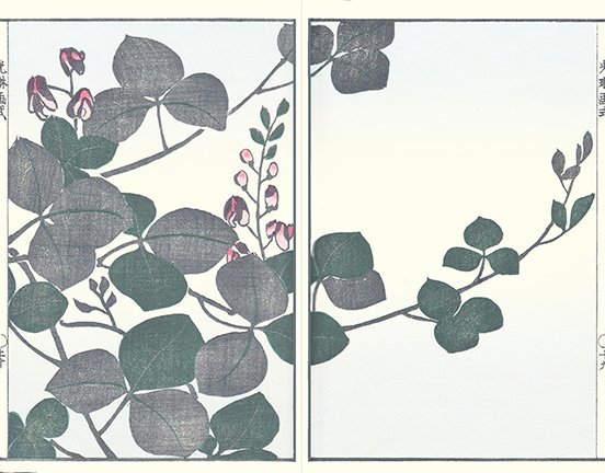 photo12.jpg