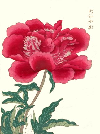 photo.jpg