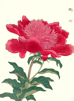 photo10.jpg