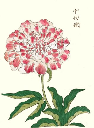 photo13.jpg