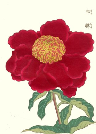 photo24.jpg