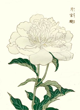 photo7.jpg