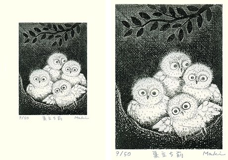 photo7.jpg