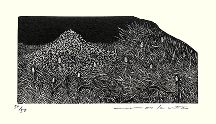 photo7.jpg