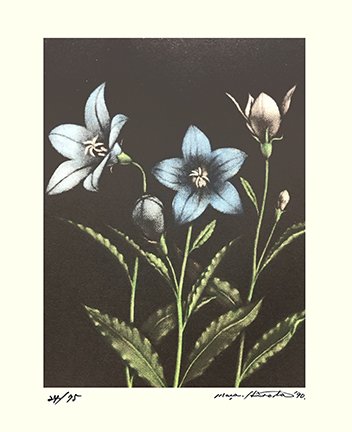 photo36.jpg