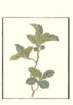 photo5_small.jpg