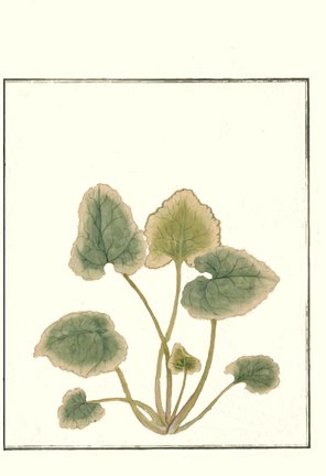 photo7.jpg