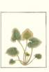 photo7_small.jpg