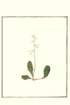 photo9_small.jpg