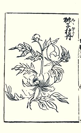 photo.jpg
