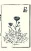 photo14_small.jpg