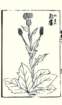 photo15_small.jpg