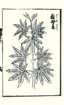 photo16_small.jpg