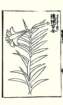 photo17_small.jpg
