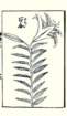 photo18_small.jpg