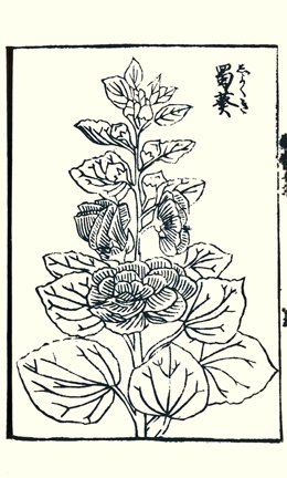 photo19.jpg