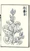 photo20_small.jpg