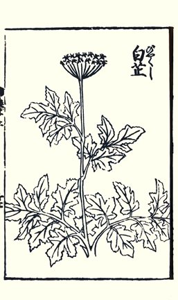 photo22.jpg