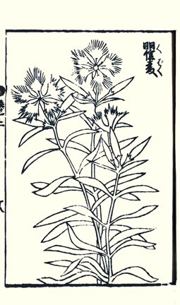 photo24.jpg