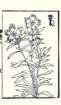 photo24_small.jpg