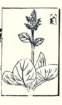photo26_small.jpg