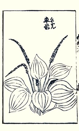 photo27.jpg