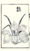 photo27_small.jpg