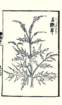 photo28_small.jpg