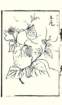 photo29_small.jpg