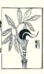 photo30_small.jpg