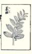 photo32_small.jpg