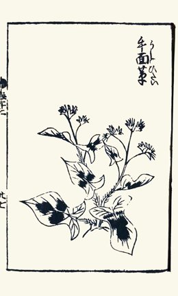 photo34.jpg