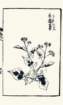 photo34_small.jpg