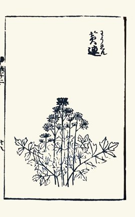 photo36.jpg
