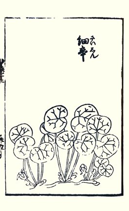 photo38.jpg